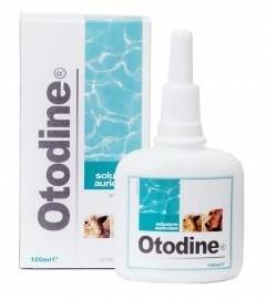 GEULINCX Otodine 100ml + Dentastix 77g