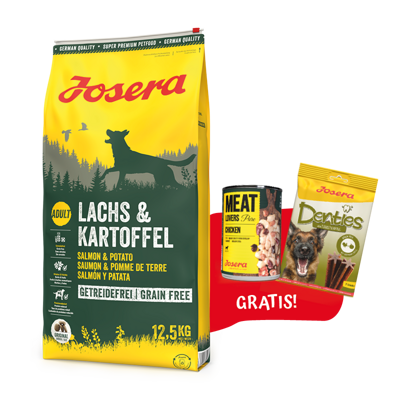 JOSERA Lachs & Kartoffel -Grain Free 12,5kg + Denties 180g & Meatlovers 400g GRATIS!!