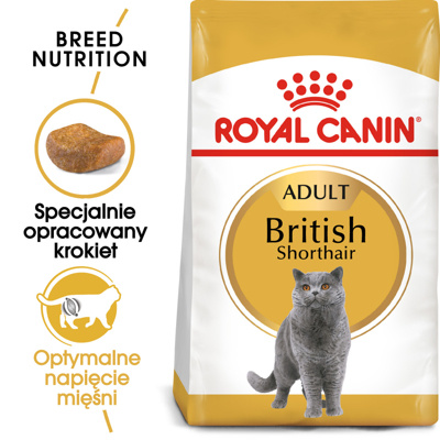 ROYAL CANIN British Shorthair 10kg karma sucha dla kotów dorosłych rasy brytyjski krótkowłosy/Opakowanie uszkodzone (2425,1957) !!! 