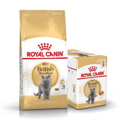 ROYAL CANIN British Shorthair 10kg karma sucha dla kotów dorosłych rasy brytyjski krótkowłosy + karma mokra GRATIS!