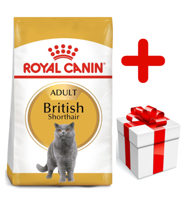 ROYAL CANIN British Shorthair 10kg karma sucha dla kotów dorosłych rasy brytyjski krótkowłosy + niespodzianka dla kota GRATIS!