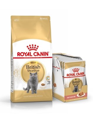 ROYAL CANIN British Shorthair Adult 34 4kg + saszetka British Adult 12x85g (Sos)