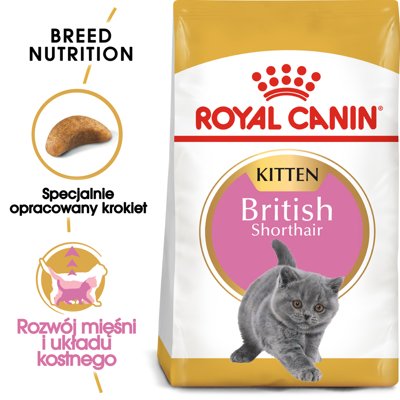 ROYAL CANIN British Shorthair Kitten 10kg + saszetka Kitten w galaretce 12x85g