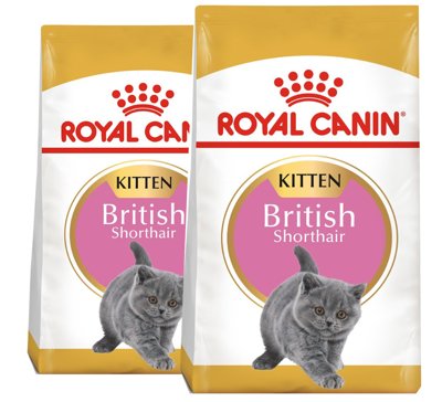 ROYAL CANIN British Shorthair Kitten 2x10kg karma sucha dla kociąt, do 12 miesiąca, rasy brytyjski krótkowłosy