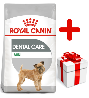 ROYAL CANIN CCN Mini Dental Care 8kg  + niespodzianka dla psa GRATIS! 