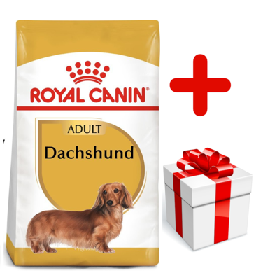 ROYAL CANIN Dachshund 7,5kg karma sucha dla psów dorosłych rasy jamnik + niespodzianka dla psa GRATIS!