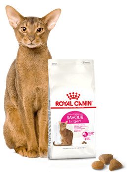 ROYAL CANIN  Exigent Savour 35/30 Sensation 400g karma sucha dla kotów dorosłych, wybrednych, kierujących się teksturą krokieta