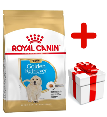 ROYAL CANIN Golden Retriever Puppy 12kg +  niespodzianka dla psa GRATIS!