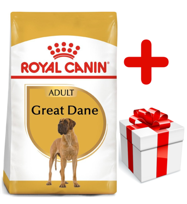 ROYAL CANIN Great Dane Adult 12kg karma sucha dla psów dorosłych rasy dog niemiecki  + niespodzianka dla psa GRATIS!