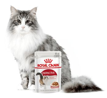 ROYAL CANIN  Instinctive 24x85g w sosie karma mokra w sosie dla kotów dorosłych, wybrednych 