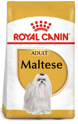ROYAL CANIN Maltese Adult 500g karma sucha dla psów dorosłych rasy maltańczyk