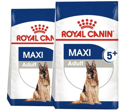 ROYAL CANIN Maxi Adult 5+ 2x15kg karma sucha dla psów starszych, od 5 do 8 roku życia, ras dużych
