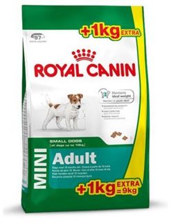 ROYAL CANIN Mini Adult 8kg +1kg karma sucha dla psów dorosłych, ras małych 