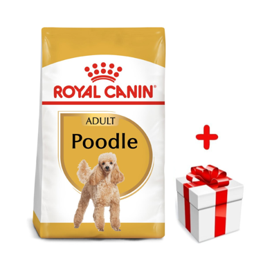 ROYAL CANIN Poodle Adult 1,5kg karma sucha dla psów dorosłych rasy pudel miniaturowy + niespodzianka dla psa GRATIS