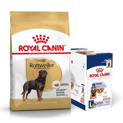 ROYAL CANIN Rottweiler Adult 12kg karma sucha dla psów dorosłych rasy rottweiler + karma mokra GRATIS!