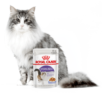 ROYAL CANIN  Sterilised 24x85g karma mokra w galaretce dla kotów dorosłych, sterylizowanych