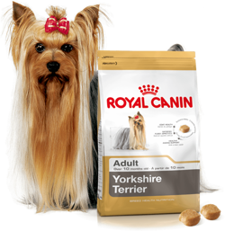 ROYAL CANIN Yorkshire Terrier Adult 7,5kg + Yorkshire Terrier Adult 24x85g