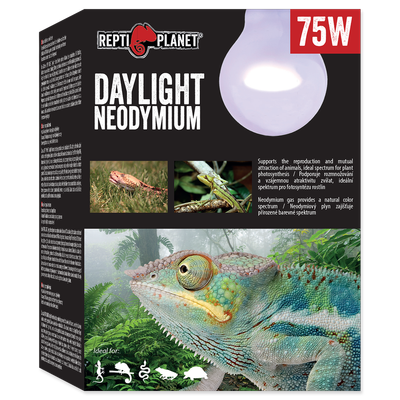 RP Żarówka  Daylight Neodymium 75W
