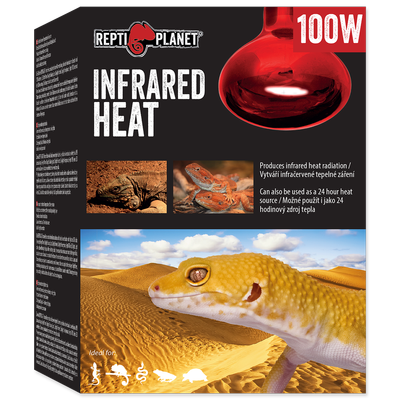RP Żarówka  Infrared HEAT 100W
