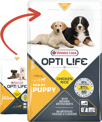VERSELE-LAGA Opti Life Puppy Maxi 12,5kg + niespodzianka dla psa GRATIS!