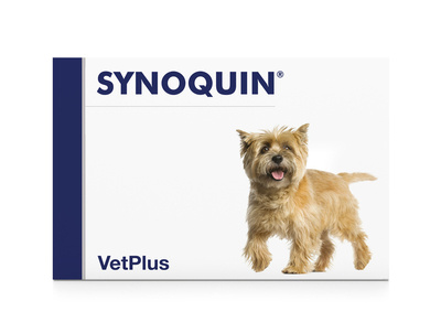 VetPlus SYNOQUIN EFA małe rasy 30 tabletek 