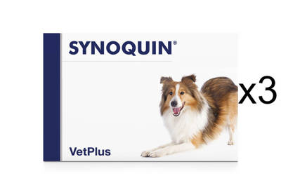VetPlus SYNOQUIN EFA średnie rasy 3x30 tabletek