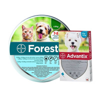 BAYER Foresto Obroża dla kotów i psów poniżej 8kg + Advantix - dla psów 4-10kg (4 pipety x 1ml)