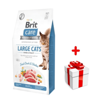 BRIT Care Grain-Free Large Cats Power & Vitality  2kg + niespodzianka dla kota GRATIS!
