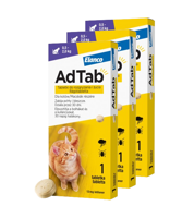 ELANCO 3xAdTab 12mg tabletka na pchły i kleszcze dla kotów 0,5-2 kg