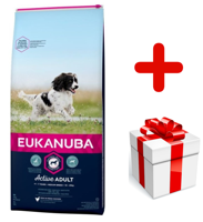 Eukanuba active adult medium breed chicken 15kg + niespodzianka dla psa GRATIS!