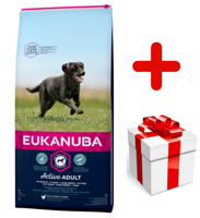 Eukanuba adult large breed chicken 15kg + niespodzianka dla psa GRATIS!