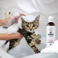 PET Shampoo Vitamin_Szampon Witaminowy 250ml Odżywczy i pielęgnujący