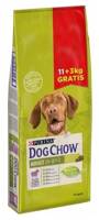 PURINA Dog Chow Adult  Lamb 14kg - ZESTAW PROMOCYJNY