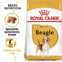 ROYAL CANIN Beagle Adult 12kg karma sucha dla psów dorosłych rasy beagle/Opakowanie uszkodzone (2168) !!! 