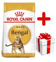 ROYAL CANIN Bengal Adult 10kg karma sucha dla kotów dorosłych rasy bengal + niespodzianka dla kota GRATIS!