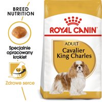ROYAL CANIN Cavalier King Charles Spaniel Adult 1,5kg karma sucha dla psów dorosłych rasy cavalier king charles spaniel