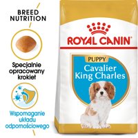 ROYAL CANIN Cavalier King Charles Spaniel Puppy 1,5kg karma sucha dla szczeniąt do 10 miesiąca, rasy cavalier king charles spaniel