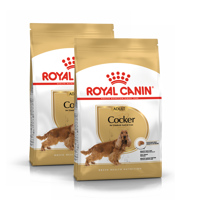 ROYAL CANIN Cocker Spaniel Adult 2x12kg karma sucha dla psów dorosłych rasy cocker spaniel