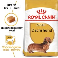 ROYAL CANIN Dachshund 7,5kg karma sucha dla psów dorosłych rasy jamnik