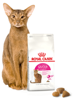 ROYAL CANIN  Exigent Savour 35/30 Sensation 2kg karma sucha dla kotów dorosłych, wybrednych, kierujących się teksturą krokieta