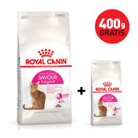 ROYAL CANIN  Exigent Savour 35/30 Sensation 4kg karma sucha dla kotów dorosłych, wybrednych, kierujących się teksturą krokieta+400g GRATIS!!!