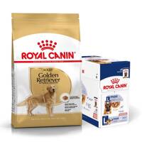 ROYAL CANIN Golden Retriever Adult 12kg karma sucha dla psów dorosłych rasy golden retriever + karma mokra GRATIS!