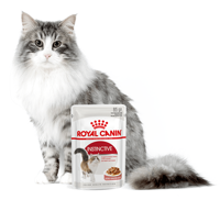 ROYAL CANIN  Instinctive 24x85g w sosie karma mokra w sosie dla kotów dorosłych, wybrednych 