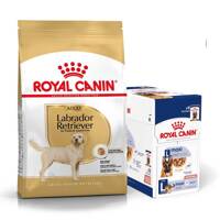 ROYAL CANIN Labrador Retriever Adult 12kg karma sucha dla psów dorosłych rasy labrador retriever + karma mokra GRATIS!