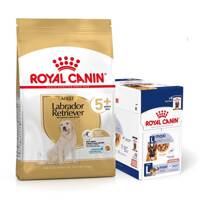 ROYAL CANIN Labrador Retriever Adult 5+ 12kg karma sucha dla psów dorosłych rasy Labrador Retriever, powyżej 5 roku życia + karma mokra GRATIS!