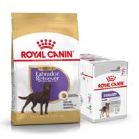 ROYAL CANIN Labrador Retriever Sterilised Adult 12kg karma sucha dla psów dorosłych, rasy labrador retriever, sterylizowanych + karma mokra GRATIS!