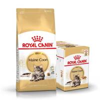 ROYAL CANIN Maine Coon Adult 10kg karma sucha dla kotów dorosłych rasy maine coon + karma mokra GRATIS!