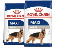ROYAL CANIN Maxi Adult 2x15kg karma sucha dla psów dorosłych, do 5 roku życia, ras dużych