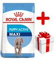 royal canin puppy active maxi
