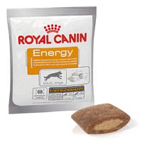 ROYAL CANIN Nutritional Supplement Energy 50g zdrowy przysmak dla psów dorosłych, aktywnych 